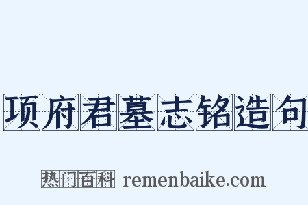 项府君墓志铭造句是什么意思的图片